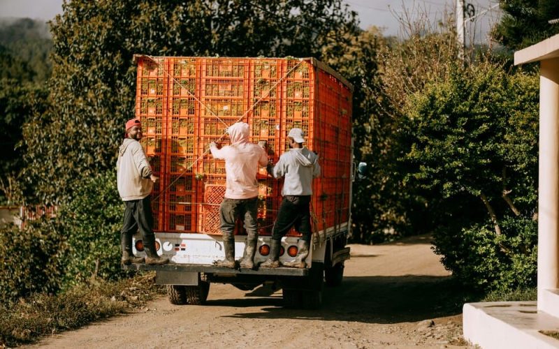 Entrega omnicanal: la estrategia que impulsa logística y ventas en Brasil